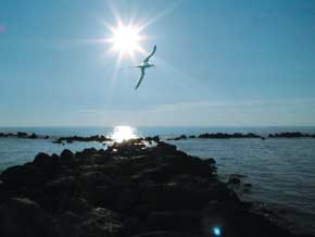 Centrul Omului - Școală de Spiritualitate