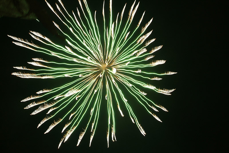 Luce e Suono per celebrare l'avvento del Natale e del nuovo anno